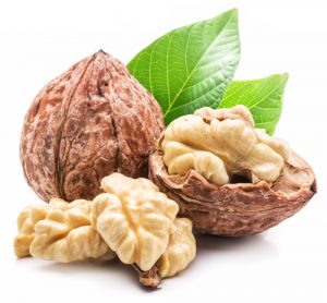 walnut