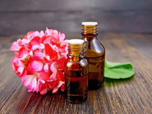 geranium oil ED