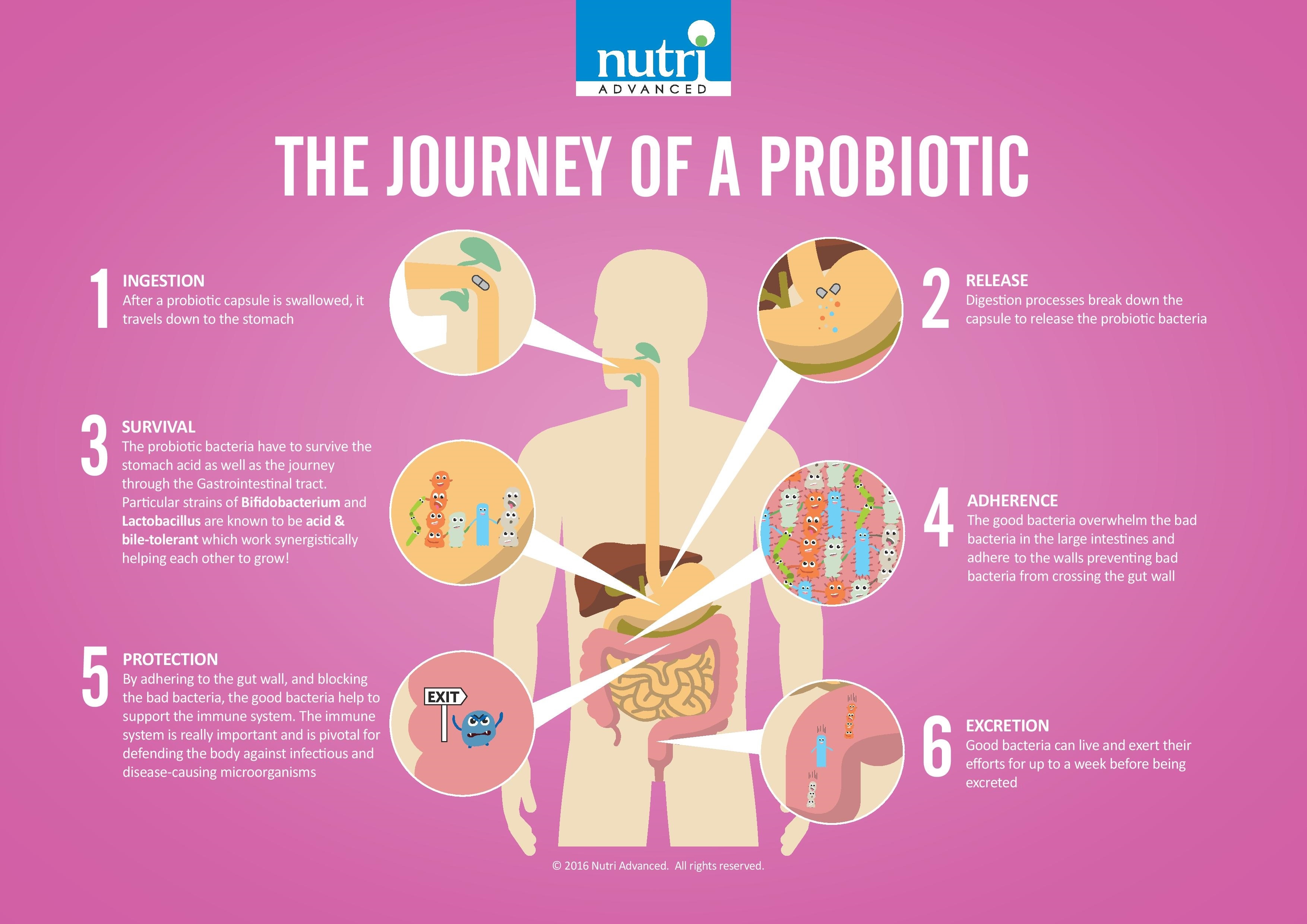 Clearing up the Confusion around Probiotics | True Health magazine